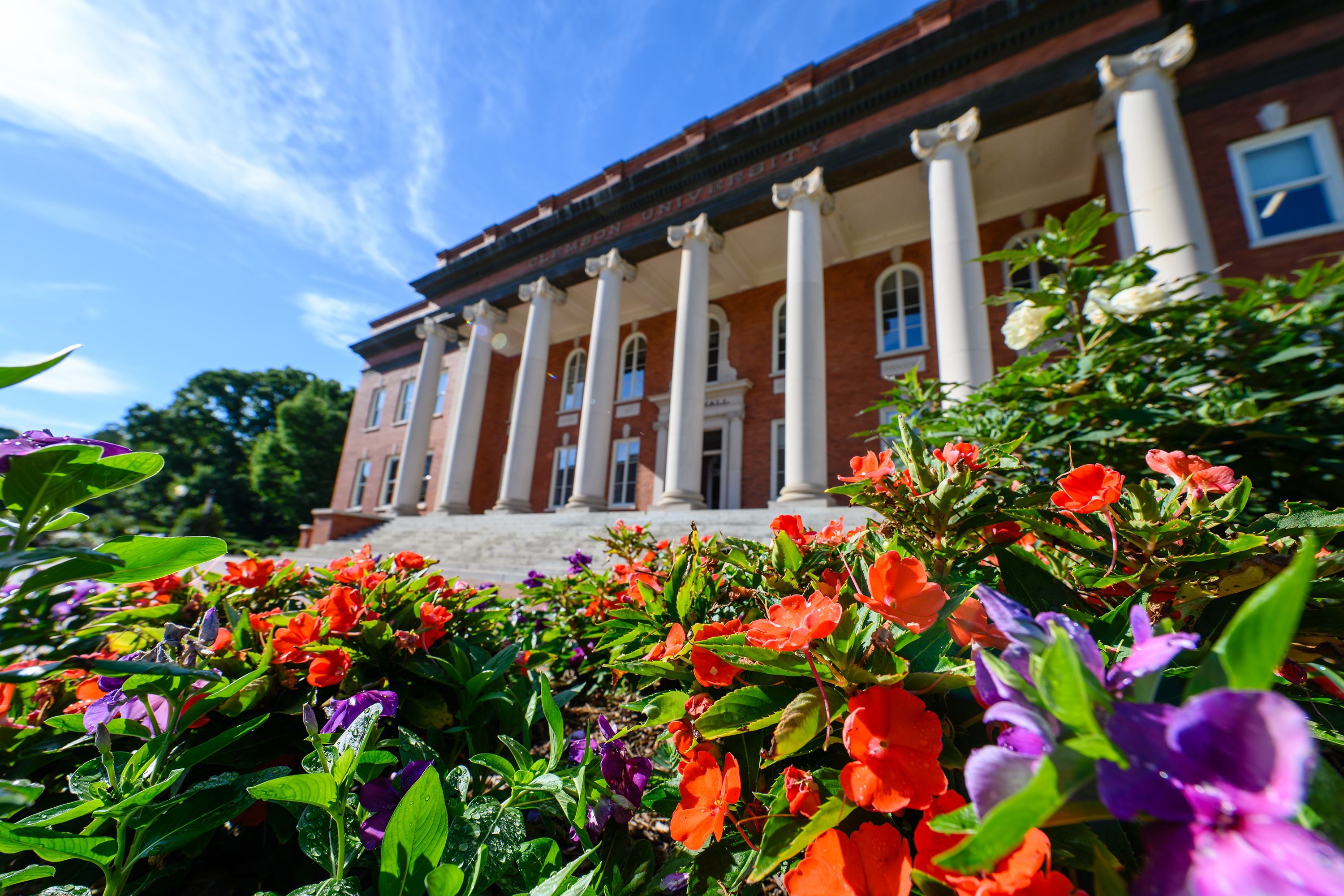 Academic Success Center Resources To Facilitate Academic Achievement At All Levels Clemson News