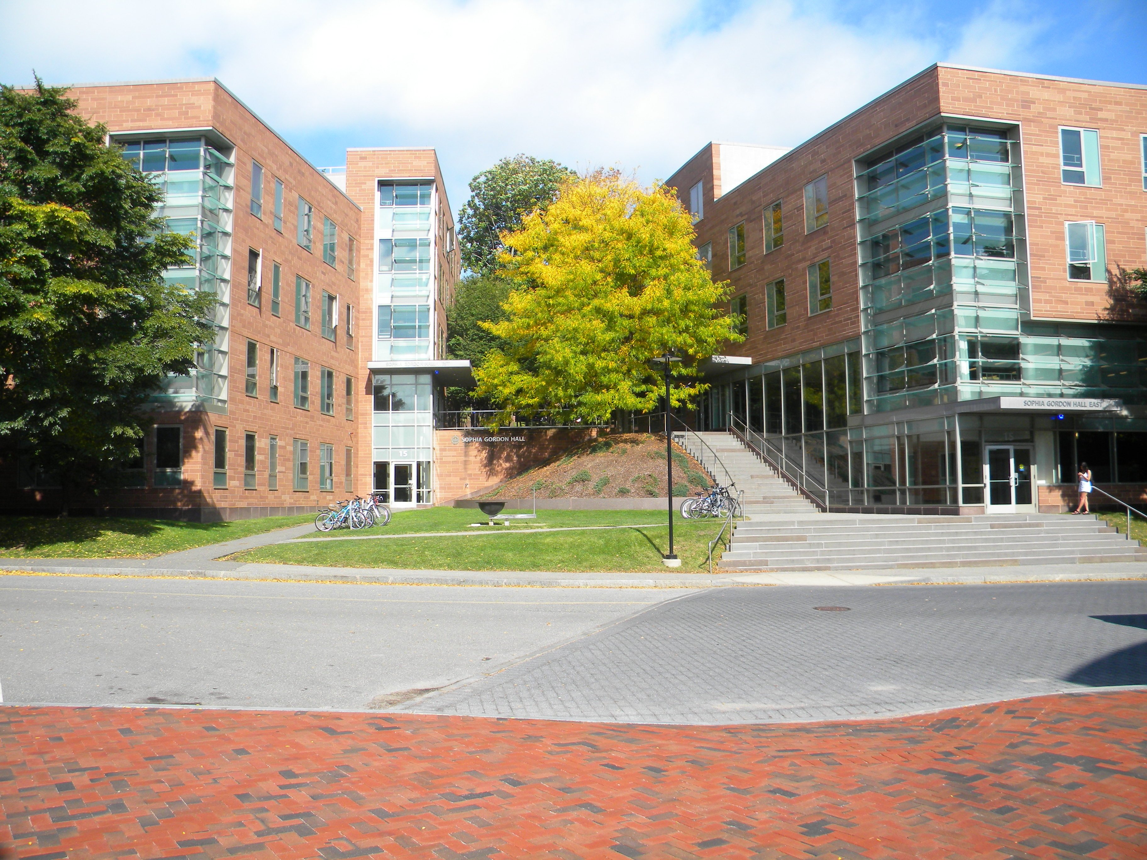 Boost Your Academics with Top Summer Programs for Students