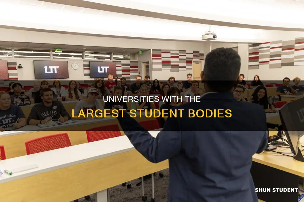 Universities with the Largest Student Populations Worldwide Revealed