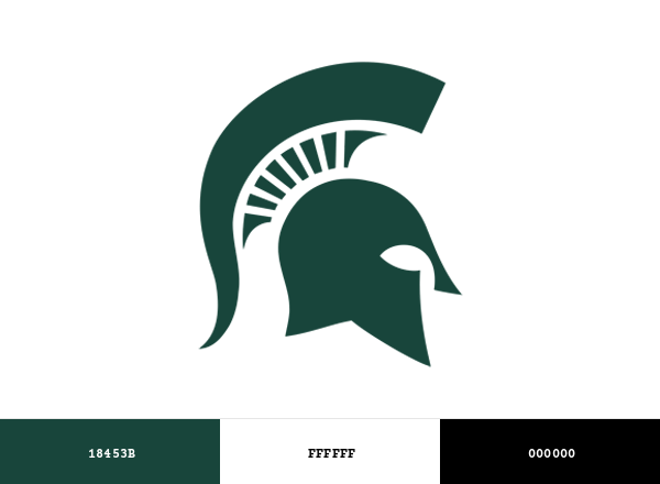 Top 5 Facts About Michigan State University Colors