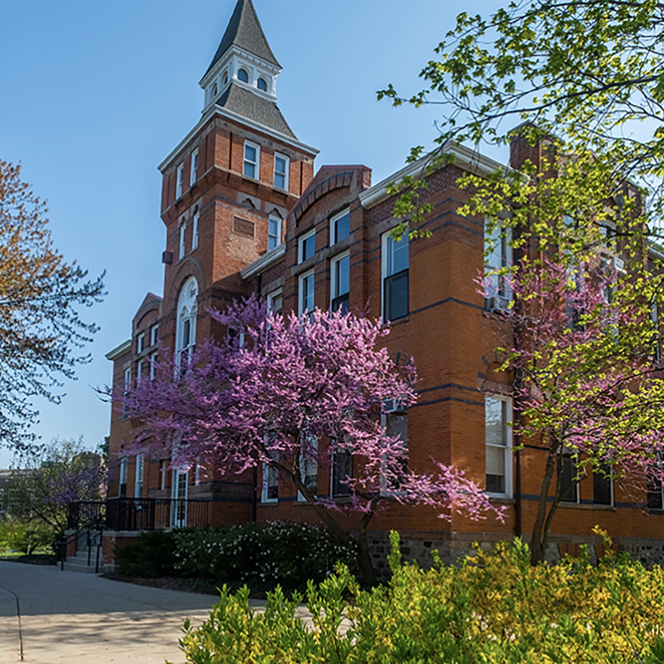 Michigan State Hocket: Understanding the Controversial Disciplinary Action