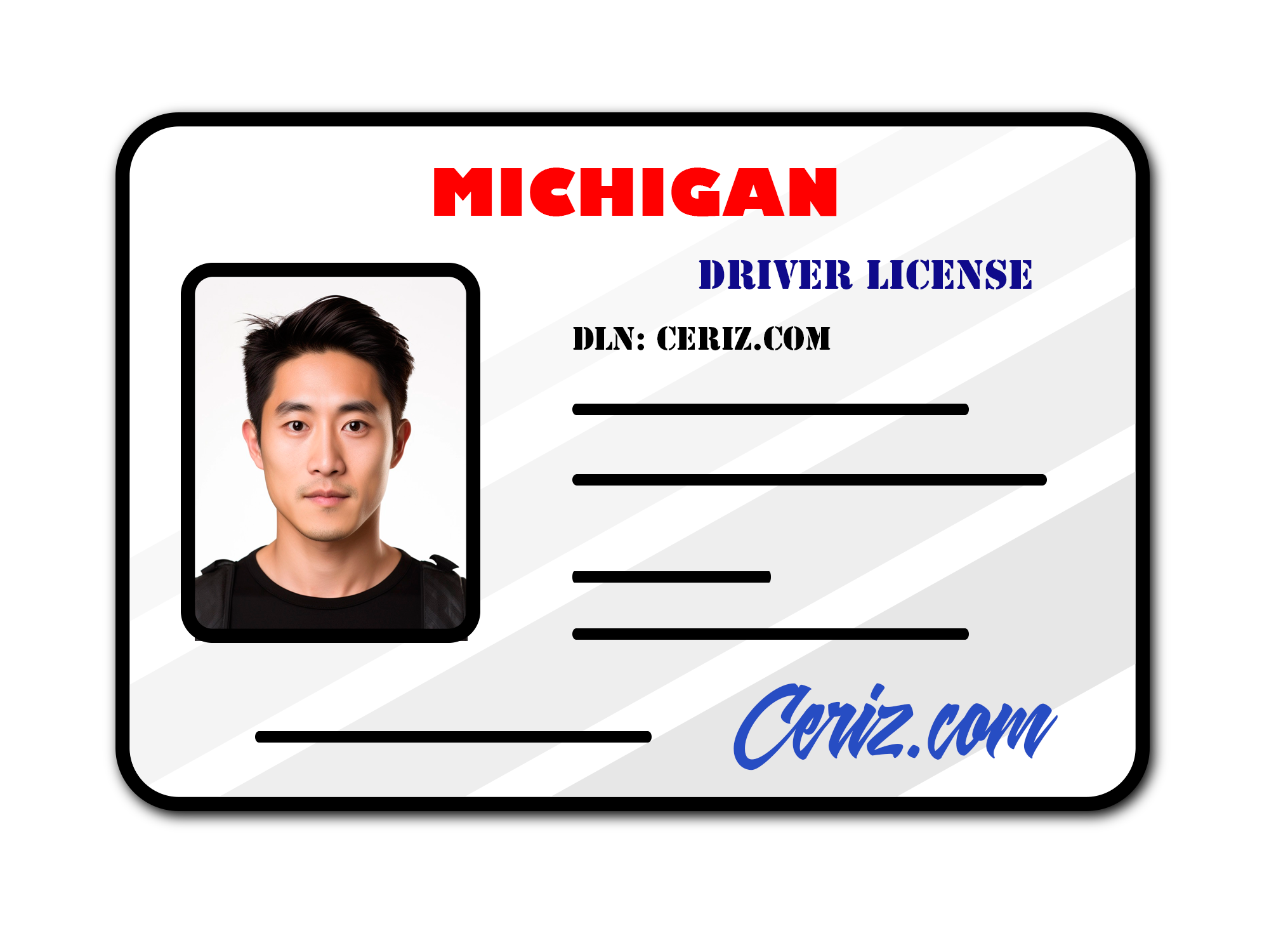5 Essential Steps to Get Michigan State ID Easily