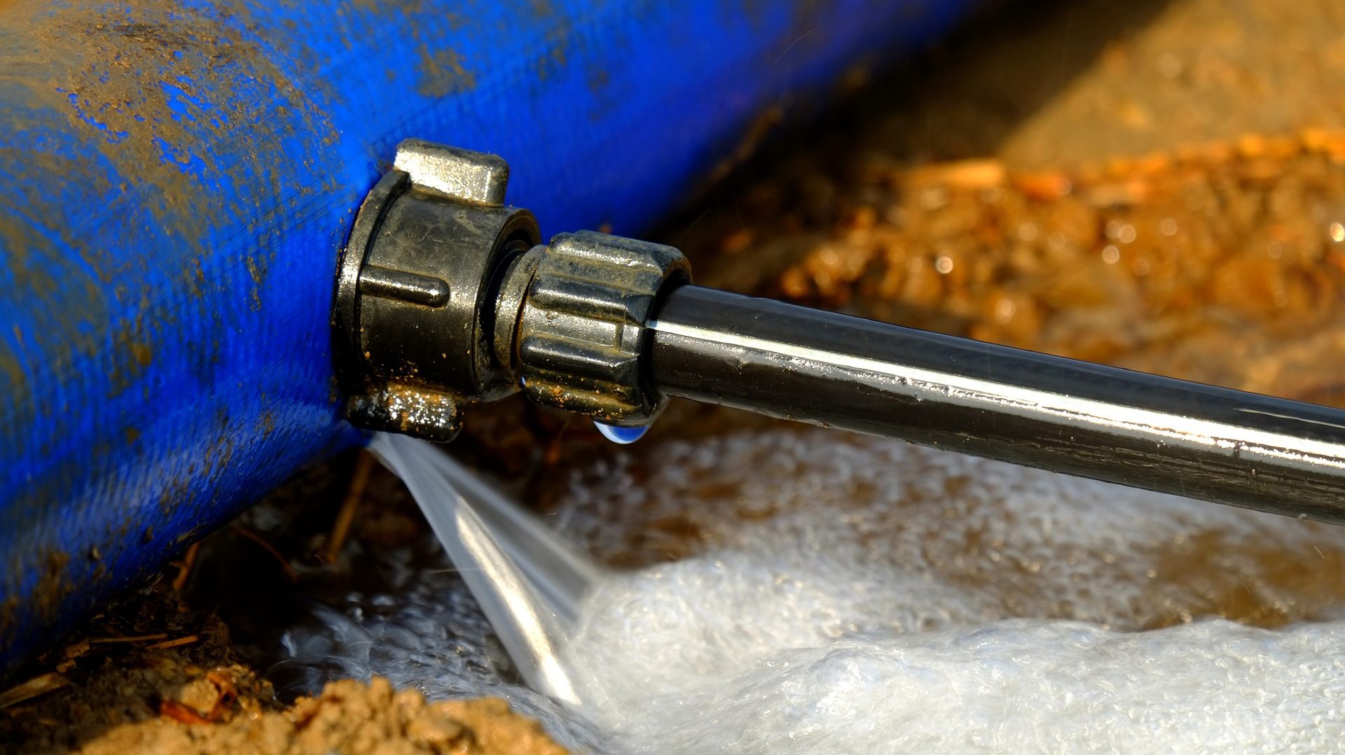 Nyanniee Leak: Uncovering the Truth Behind the Controversy