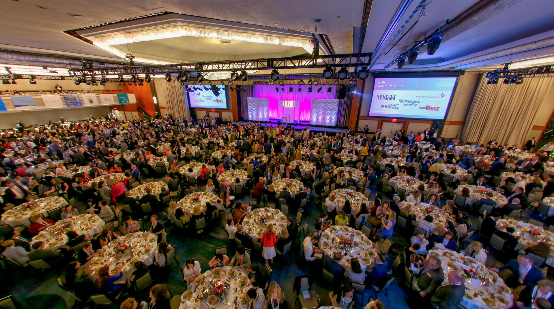 Our Impact Rising Stars