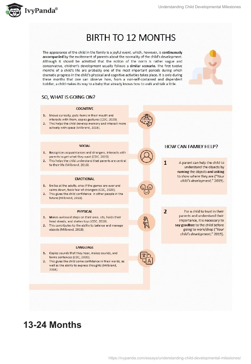 Understanding Child Developmental Milestones 1284 Words Presentation Example
