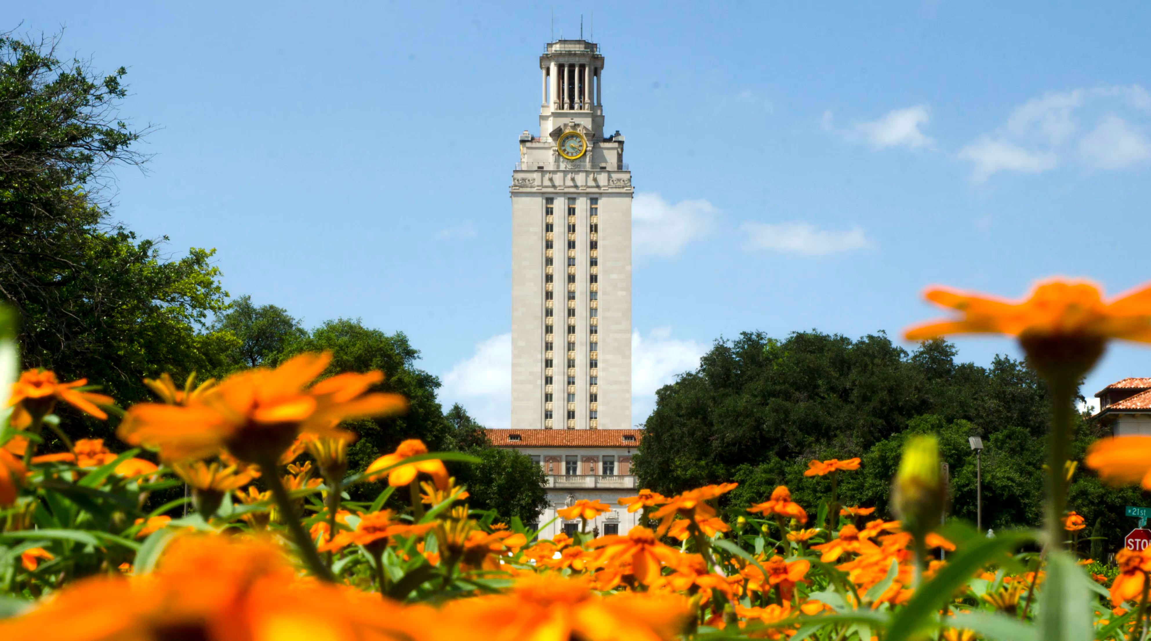 UT Austin Academic Programs and Opportunities for Students Explained