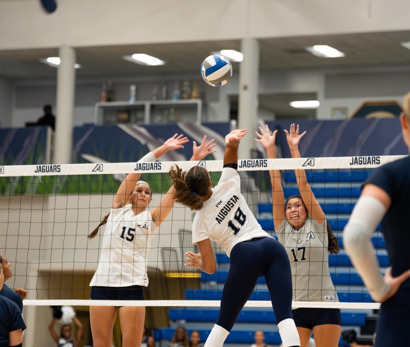 Volleyball Ranked For The First Time In Program History Augusta University